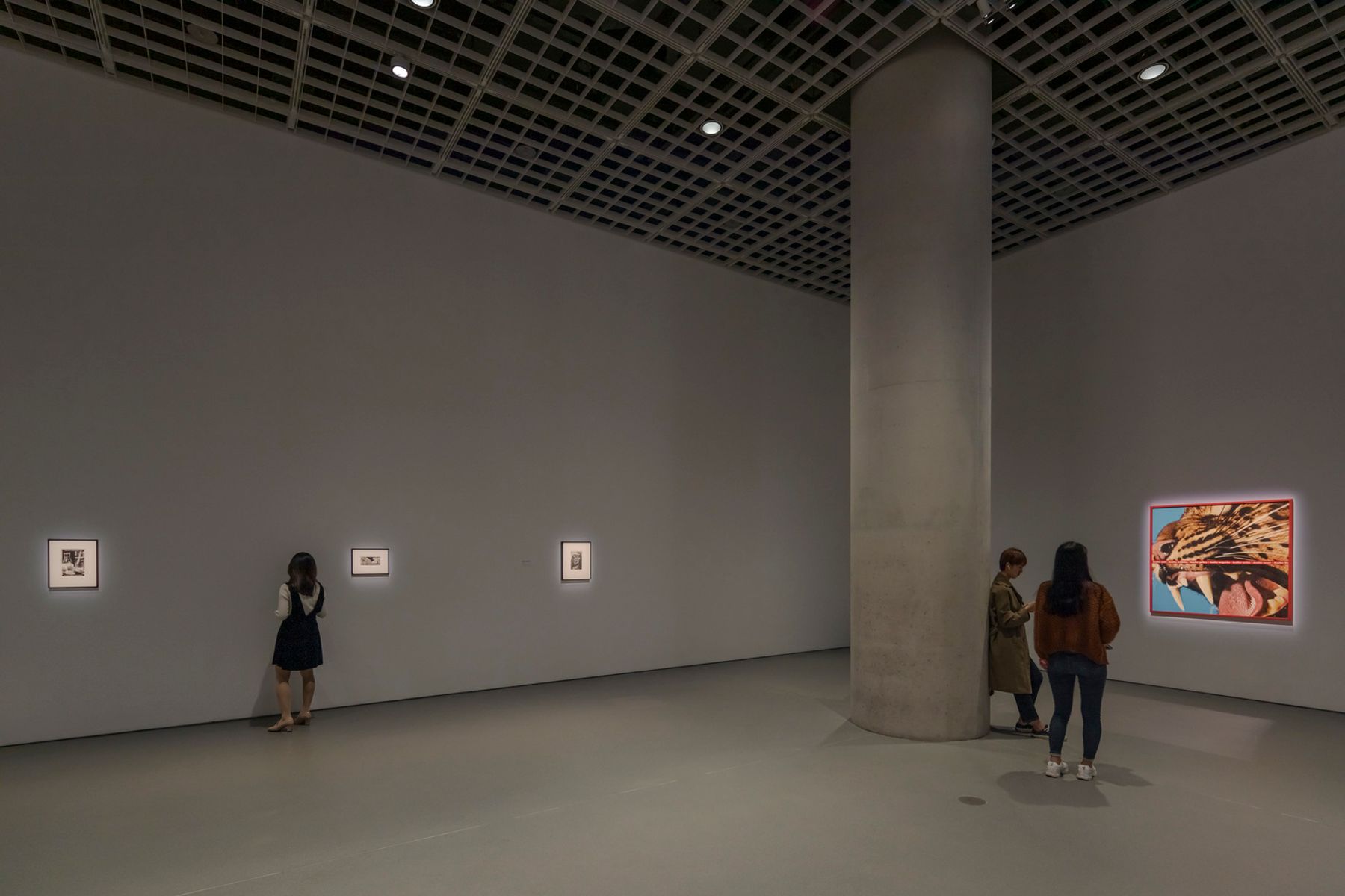 Barbara Kruger "Forever" exhibition, 2019, Amorepacific Museum of Art (APMA), Seoul. Architecture: David Chipperfield Architects (DCA), Berlin. Lighting design: Arup, Berlin. Photography: Jackie Chan, Sydney.