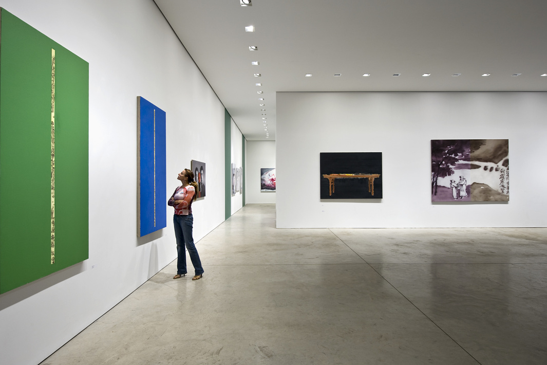Woman viewing art in a gallery with wallwashing, enhancing brightness and visual comfort.