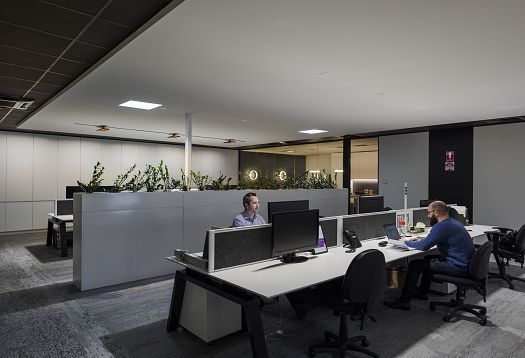 Office space using ERCO wallwashers for uniform vertical lighting and enhanced visual comfort.