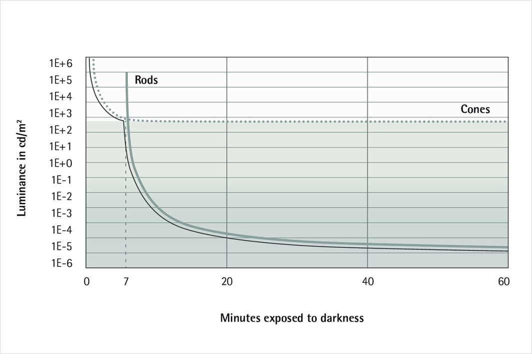 Eye adaptation chart showing rod and cone function in darkness.