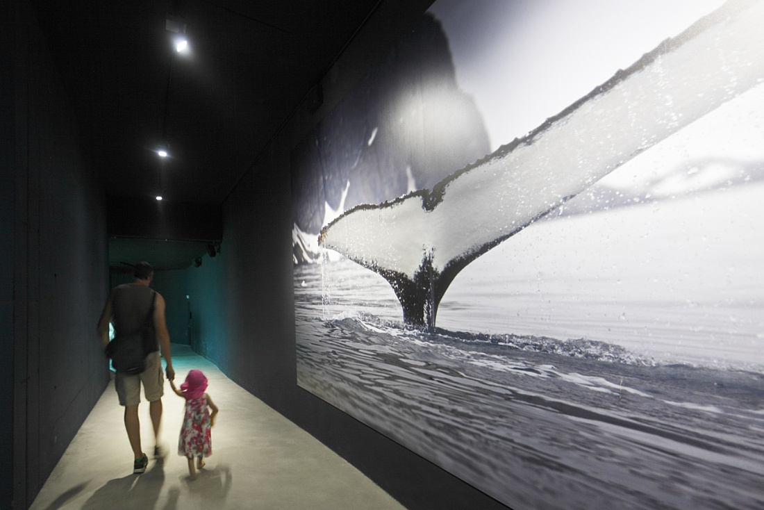 Besucher im Arktis-Gehege Hagenbeck, beleuchtet mit Grasshopper LED Strahlern, betrachten eine Walross-Ausstellung.