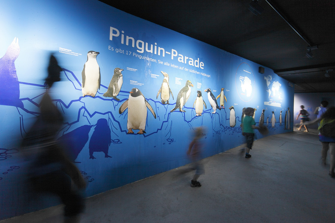 Penguin parade exhibit at Hagenbeck Zoo, illuminated by ERCO Grasshopper LED spotlights.