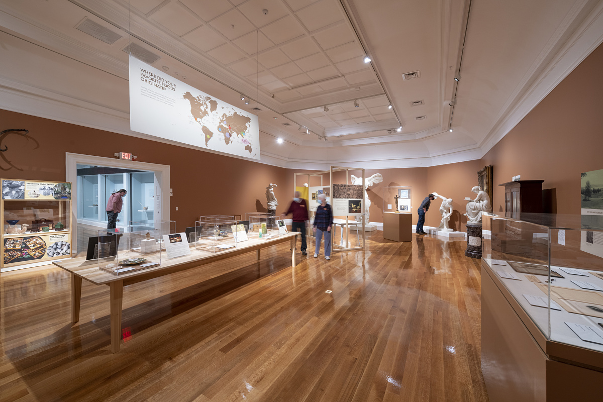 Optec spotlights by ERCO illuminate exhibits at the Berkshire Museum, Pittsfield.