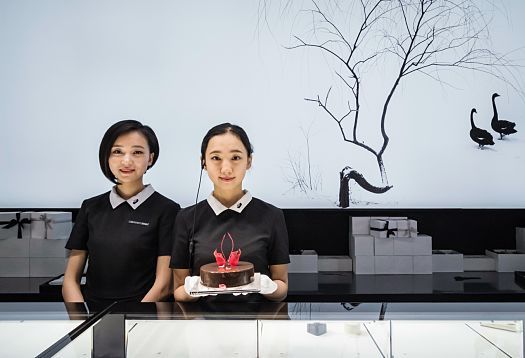 Black Swan patisserie staff presenting an ornate cake under ERCO Optec spotlights.