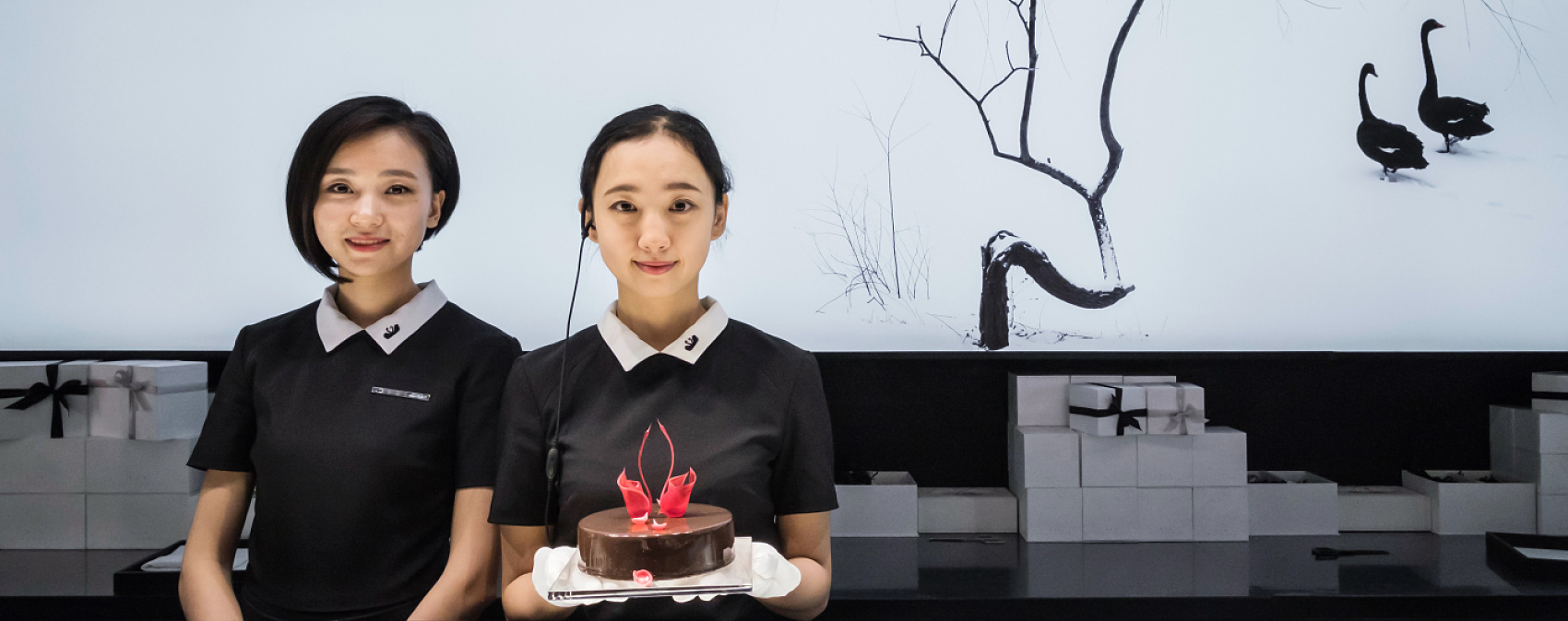 Black Swan patisserie in Beijing, featuring ERCO Optec spotlights for contrast lighting.