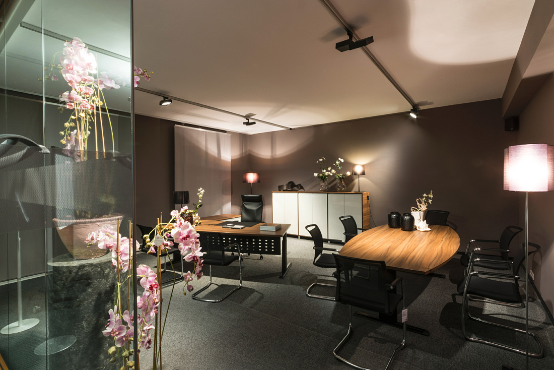 Blaha Office showroom featuring ERCO Opton spotlights, accentuating LED lighting for office furniture and conference tables.