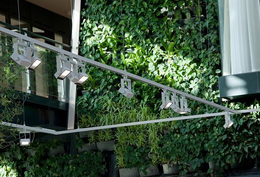 ERCO Logotec LED spotlights illuminate a green wall at BSH headquarters in Hoofddorp.