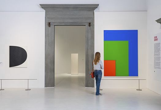 Woman views color contrast paintings in art gallery, showcasing lighting design.