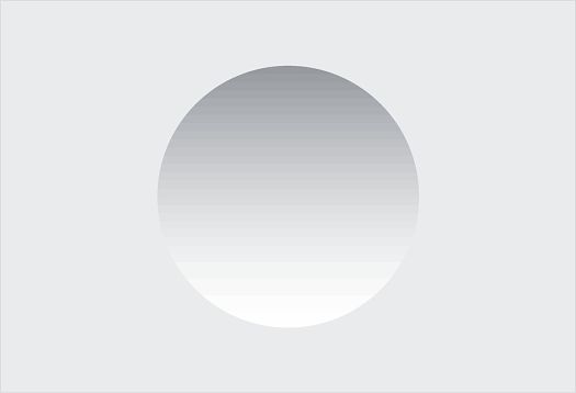 Brightness constancy: A gray field appears different depending on its surroundings.
