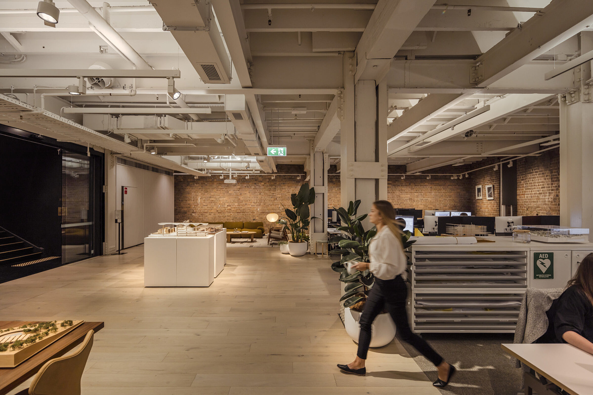 ERCO Jilly downlights in Cox Architecture office, Sydney. Flexible office lighting with visual comfort using Optec spotlights.