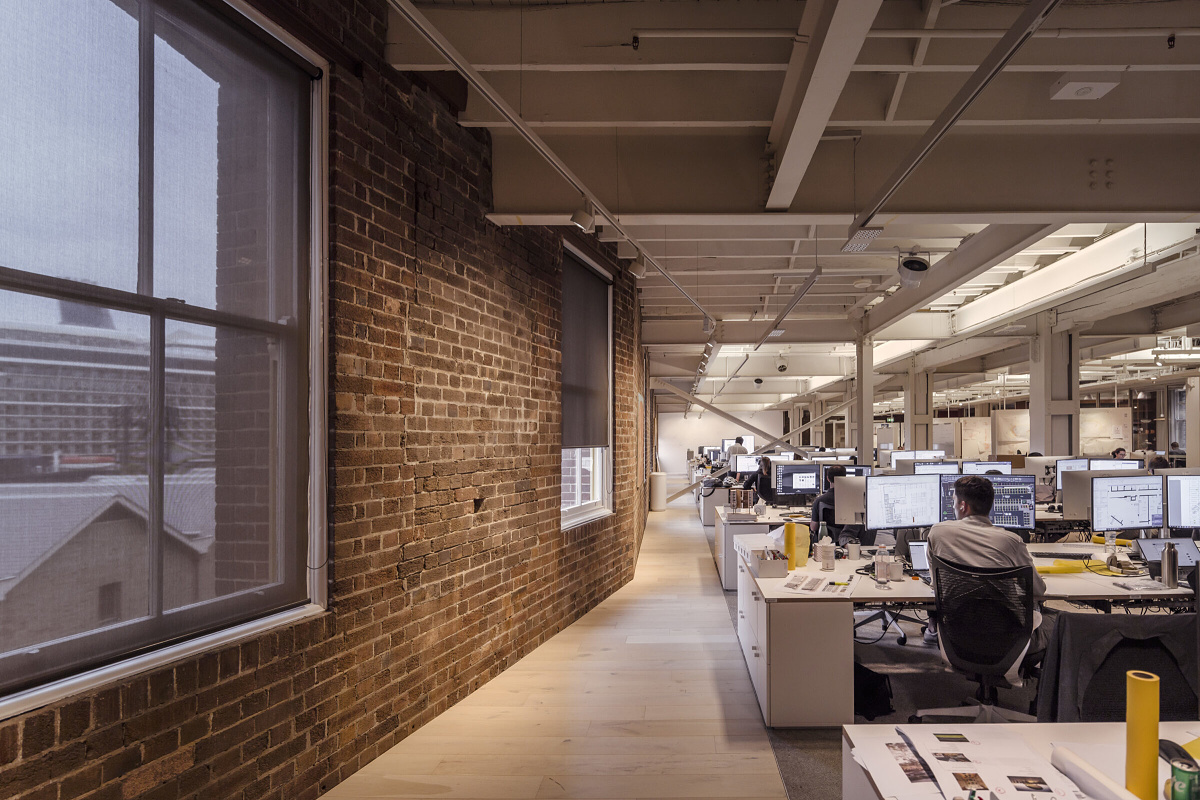ERCO Jilly downlights illuminate the Cox Architecture office in Sydney, providing flexible office lighting.