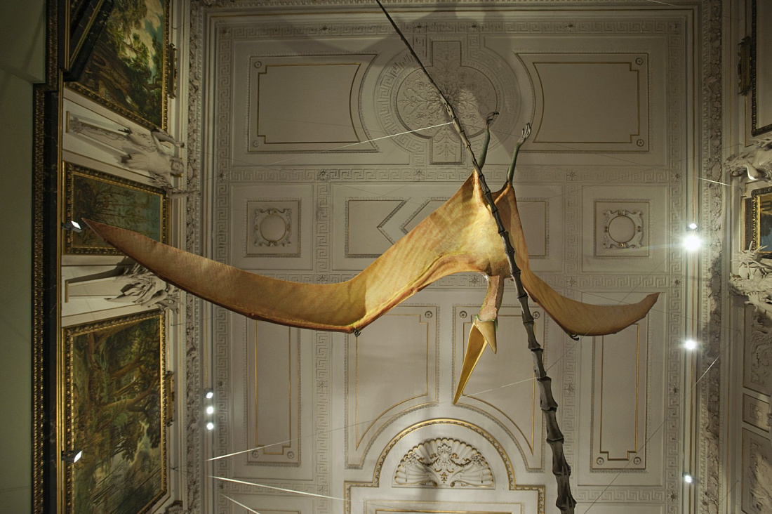 Pterosaur skeleton in Viennas Natural History Museum, illuminated by ERCO Logotec LED spotlights.