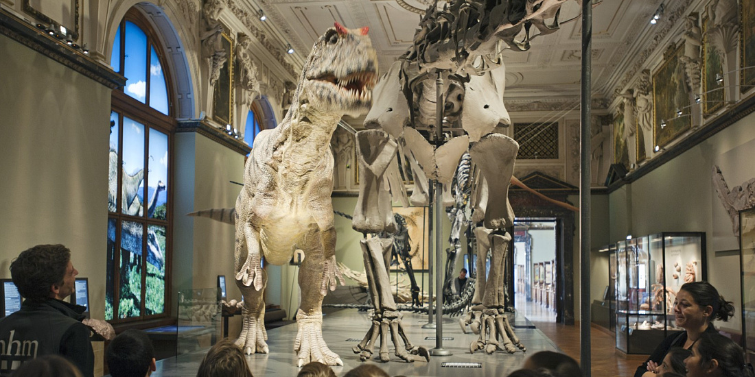Dinosaur skeletons at Vienna's Natural History Museum, illuminated by ERCO Logotec LED spotlights.