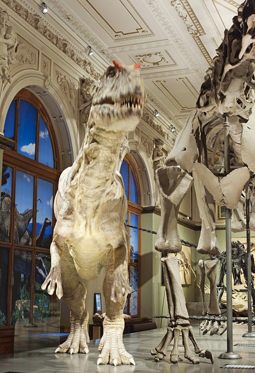 Dinosaur skeleton at Viennas Natural History Museum, lit by ERCO Logotec LED spotlights.
