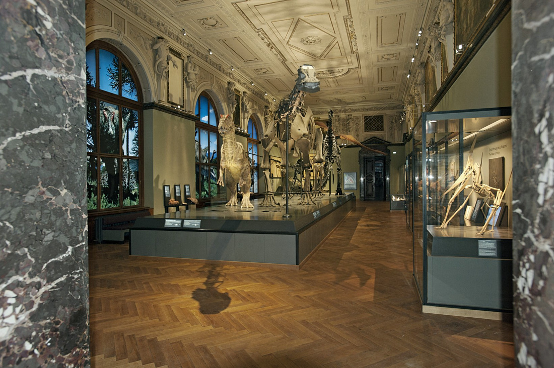 Dinosaur Hall at Viennas Natural History Museum, illuminated by ERCO Logotec LED spotlights.