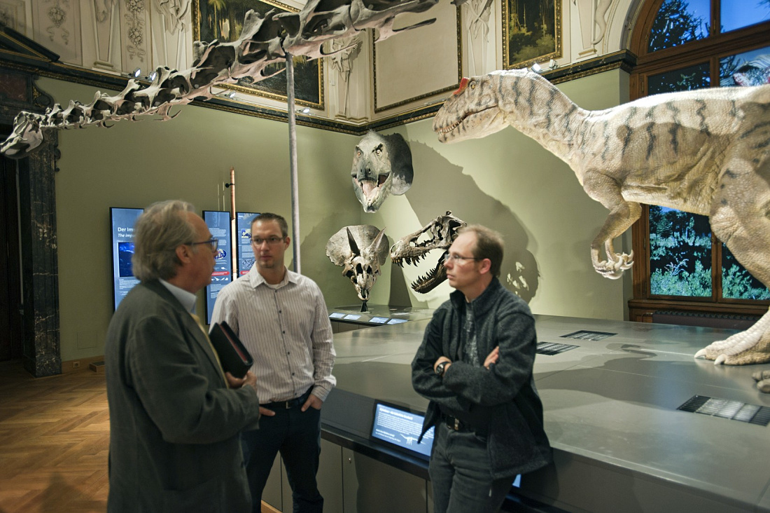 Dinosaur skeletons at Viennas Natural History Museum, illuminated by ERCO Logotec LED spotlights.