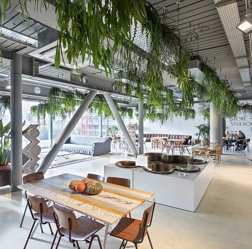 Open office with LED lighting and hanging plants, designed for sustainable illumination.
