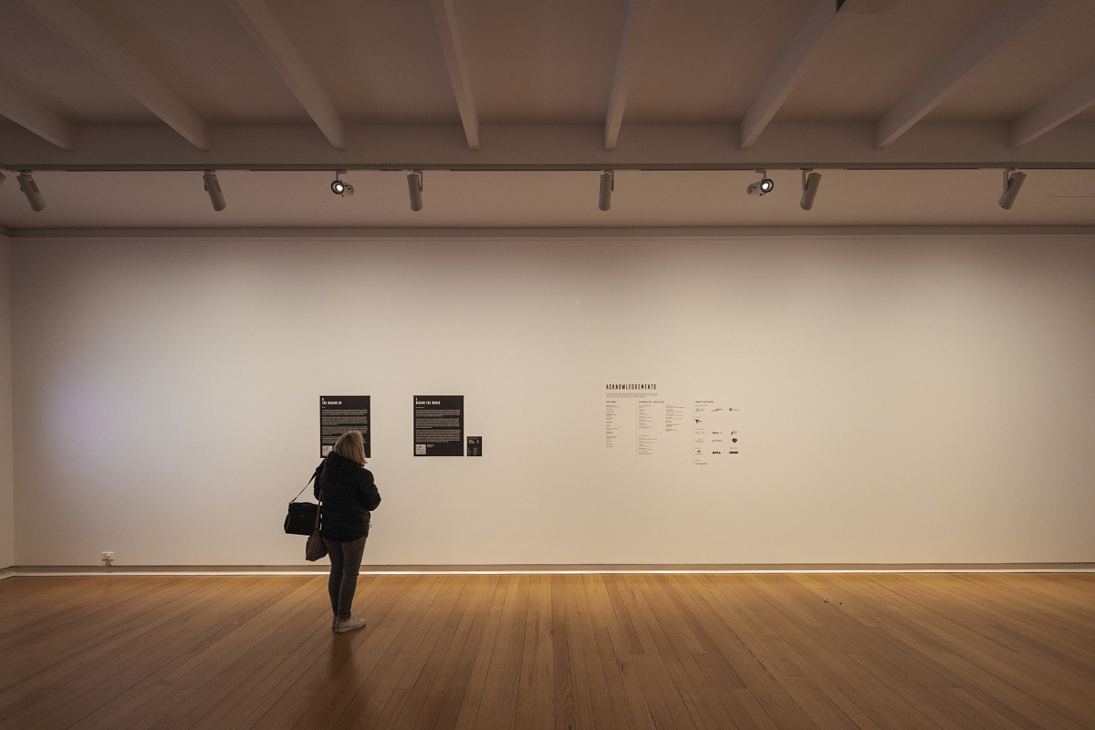 Visitor at Geelong Gallery viewing art illuminated by ERCO spotlights on tracks.