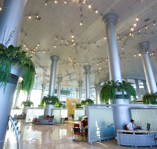 Interior space with columns and indirect lighting designed to minimize glare.