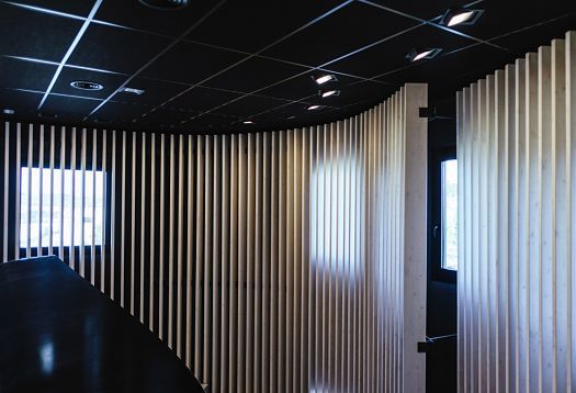 Graficas Varias office featuring ERCO LED lighting and wood slats for visual experience and ergonomics.