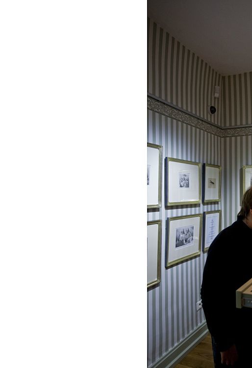Visitor at Grimm Brothers’ House Museum viewing exhibits under Optec LED spotlights.