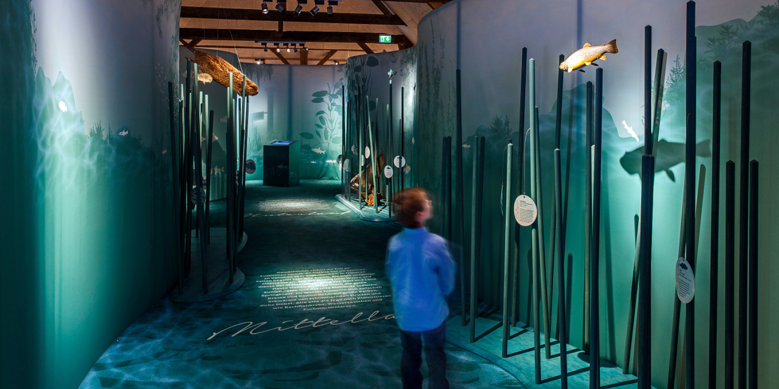 Interactive exhibit at KM 51 – Erftmuseum with ERCO LED lighting.