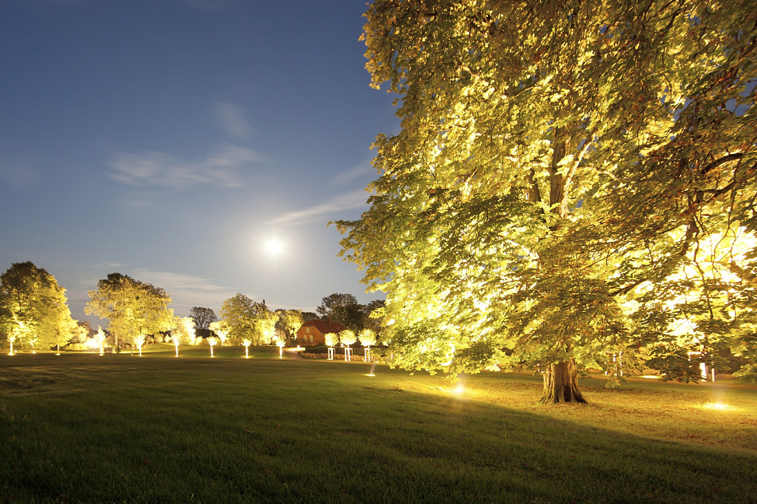 ERCO lighting illuminates trees at Weissenhaus Grand Village Resort & Spa, creating an inviting ambiance.