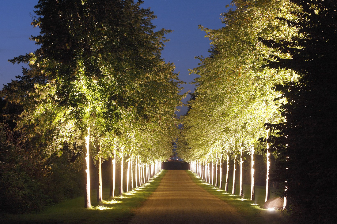 Illuminated tree avenue with ERCO lighting at Hotel Weissenhaus, creating an inviting ambiance.
