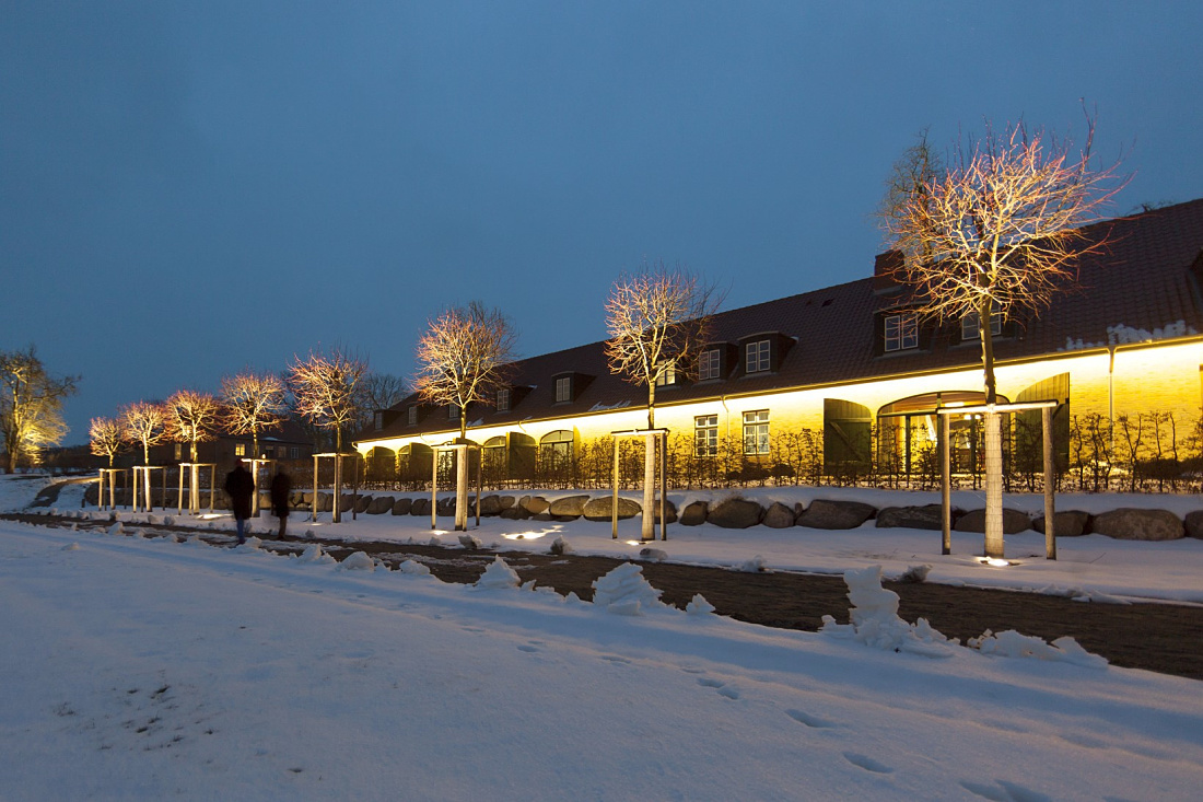 Illuminated trees at Weissenhaus Grand Village Resort & Spa in winter.