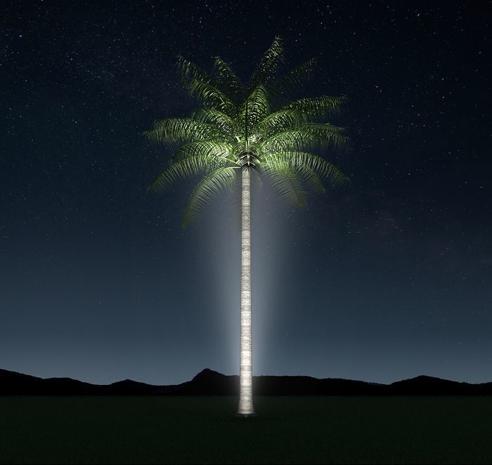 Palm tree illuminated at night with ERCO ground-recessed luminaires highlighting the trunk.
