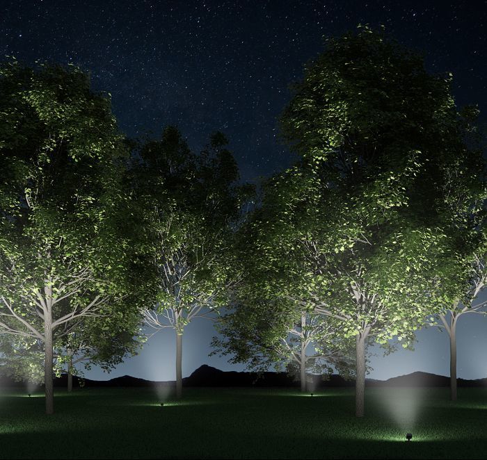 Tree lighting with ERCO ground-recessed luminaires for atmospheric outdoor spaces.