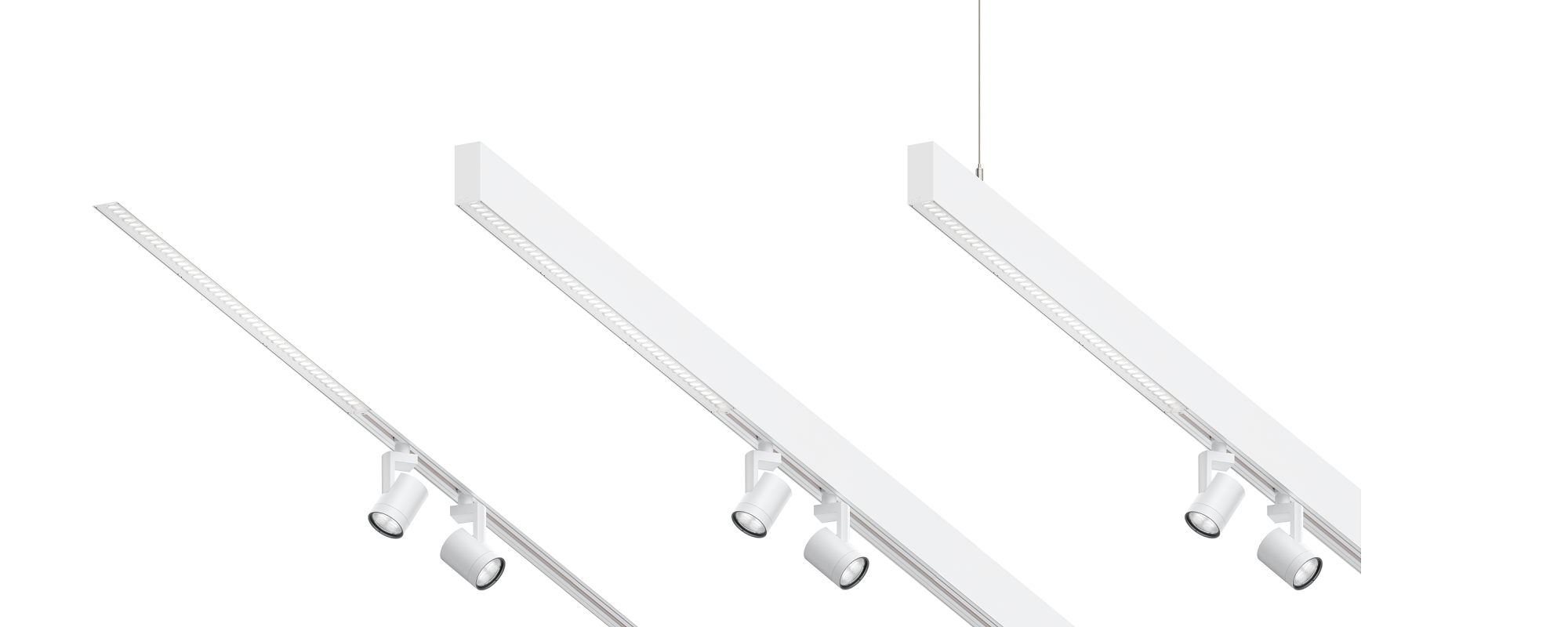 ERCO Invia 48V Light Structure: Modular indoor lighting system with downlights and linear spotlights.