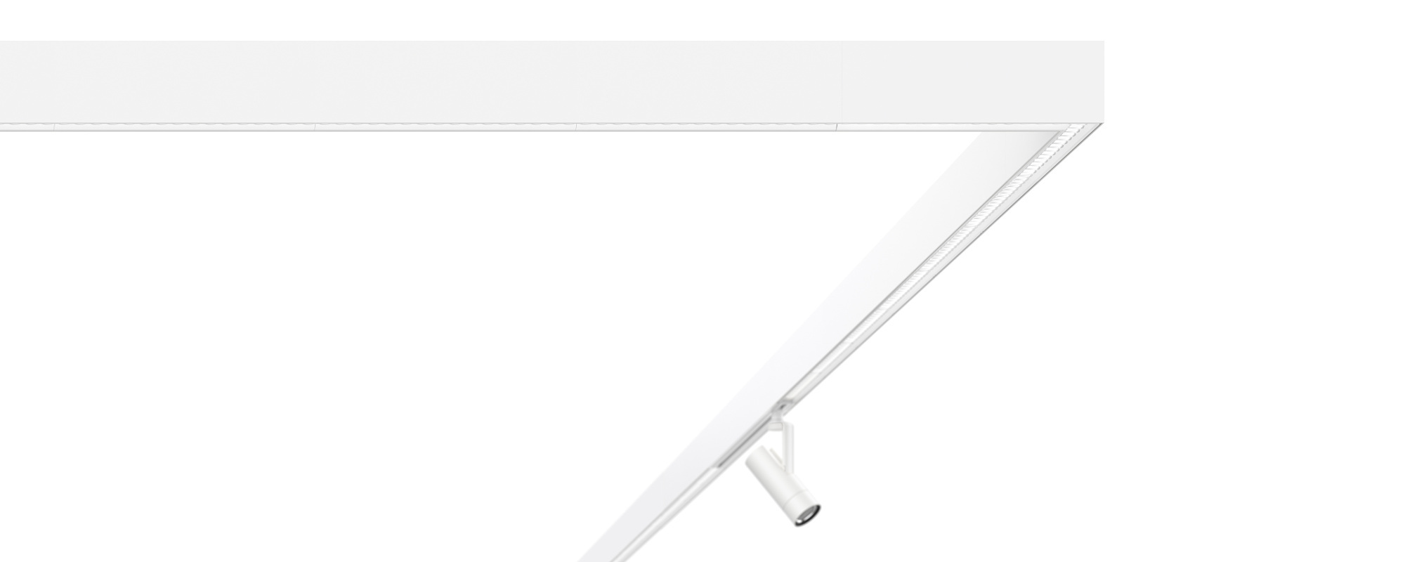 ERCO Invia 48V Light Structure: Modular indoor lighting system with spotlight accent lighting.
