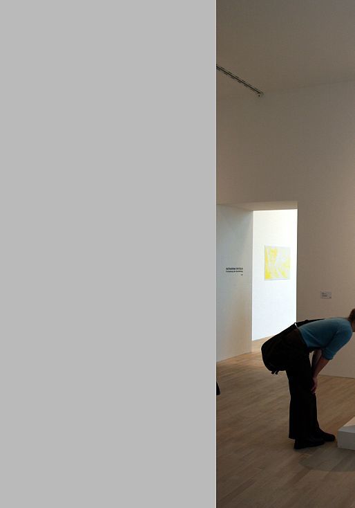 Visitor views art under ERCO lighting at K21 Art Gallery in Dusseldorf.