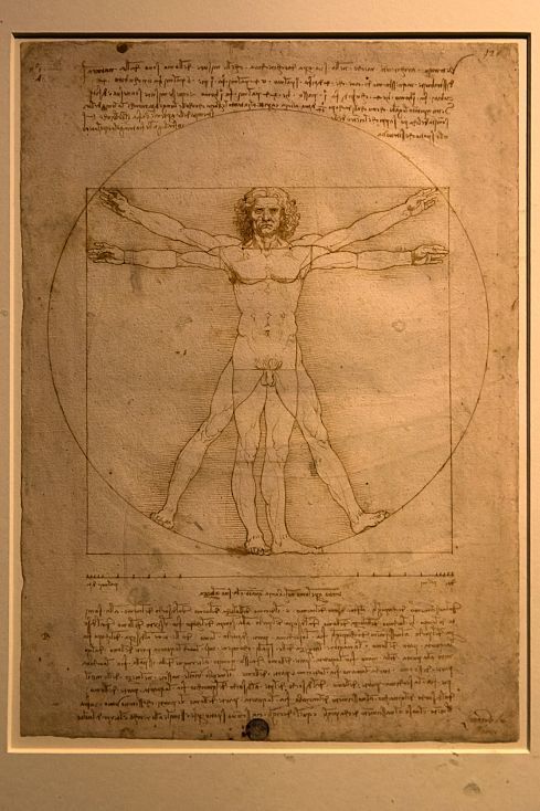 Leonardo da Vincis Vitruvian Man, illuminated by LED lighting at the Palazzo Reale, Milan.
