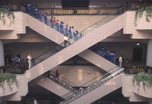 Architectural photography: People on escalators in a building, illuminated with ERCO lighting.