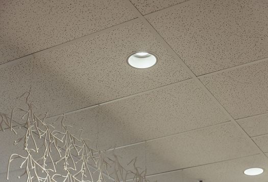 ERCO Iku downlight in an office, designed for Human Centric Lighting.