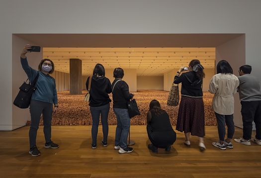 Visitors view the Asian Field installation at M+ Museum, illuminated by ERCO spotlights.