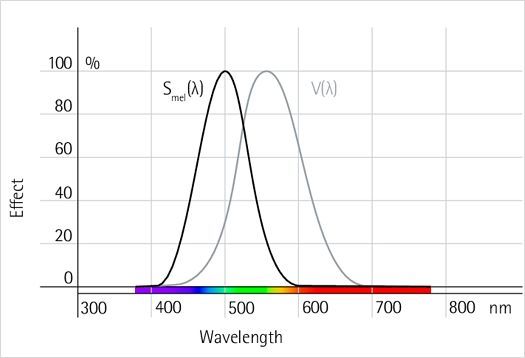Melanopic light effect diagram showing spectral sensitivity of ganglion cells and visual perception.