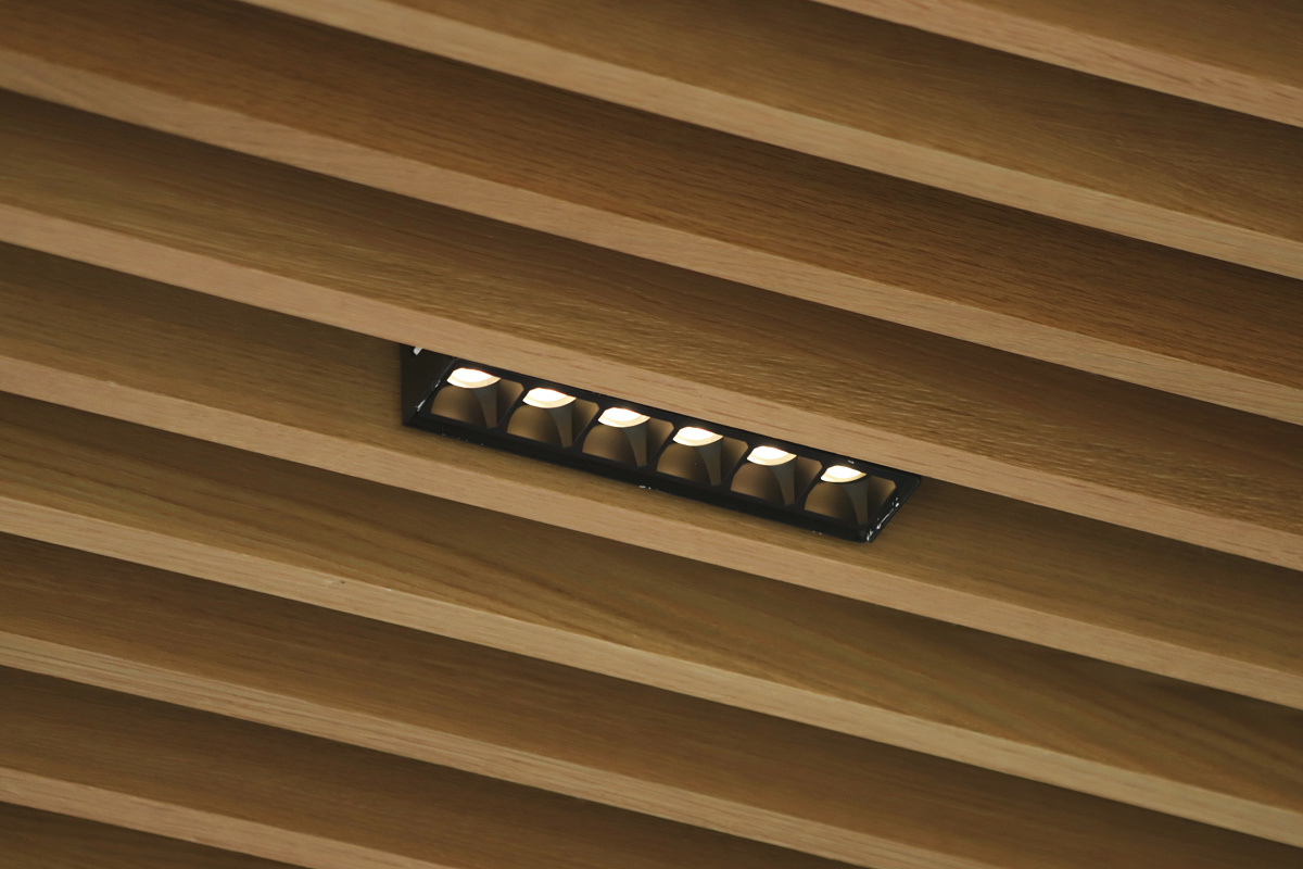 ERCO Compar recessed luminaires in the Missouri Botanical Garden visitor center ceiling.
