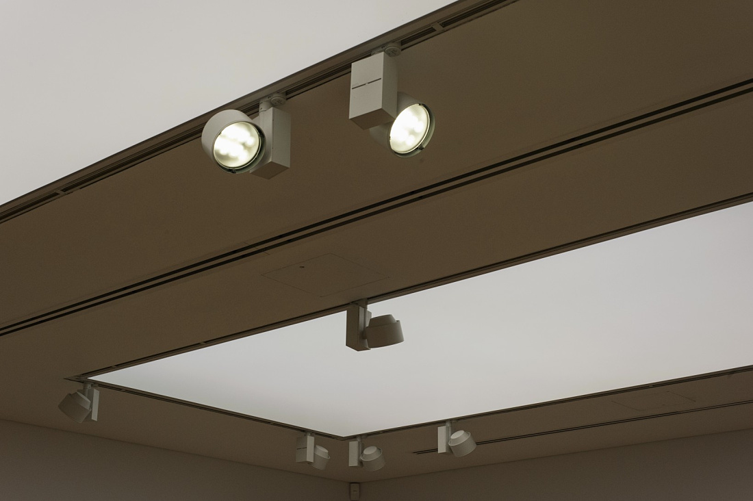 ERCO Optec LED spotlights on tracks in the National Museum of Wales, providing flexible gallery lighting.