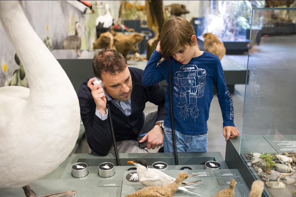 Natural History Museum, St. Gallen