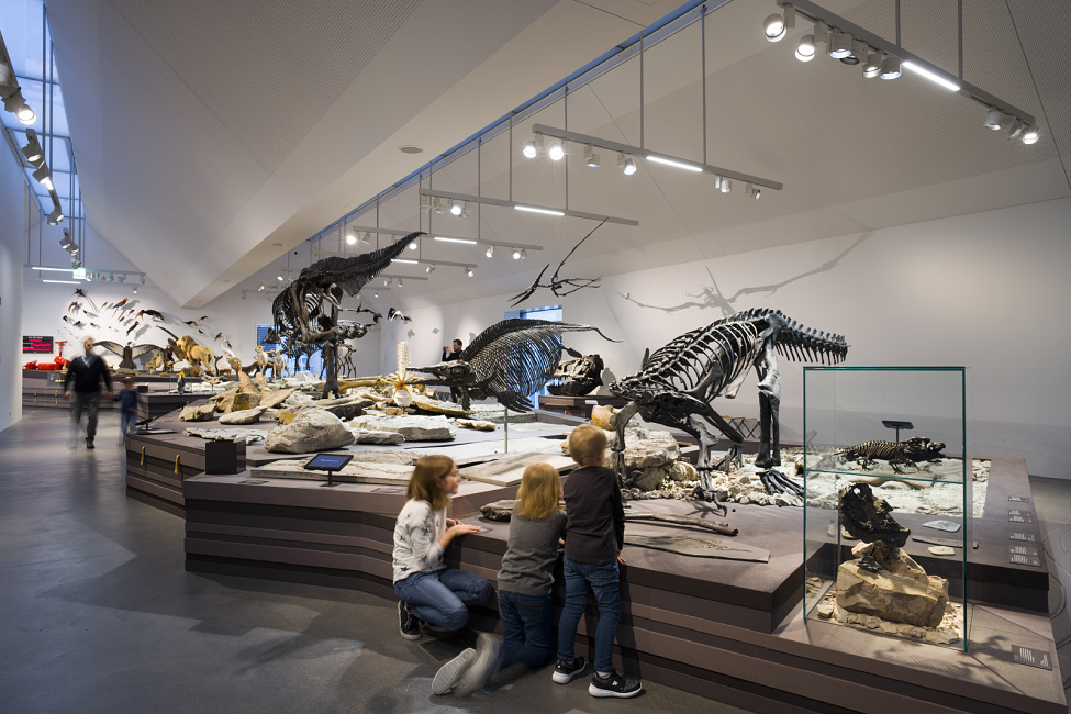 Natural History Museum, St. Gallen