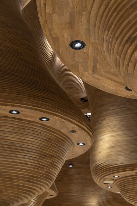 Organic wood ceilings with ERCO spotlights at the National Museum of Qatar.