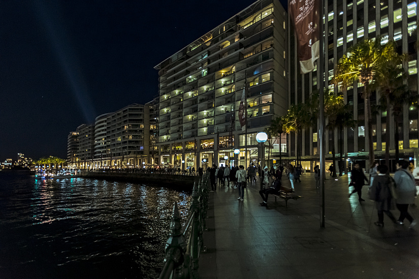 Night view of palm trees at Circular Quay, Sydney, illuminated by ERCO Tesis in-ground luminaires.