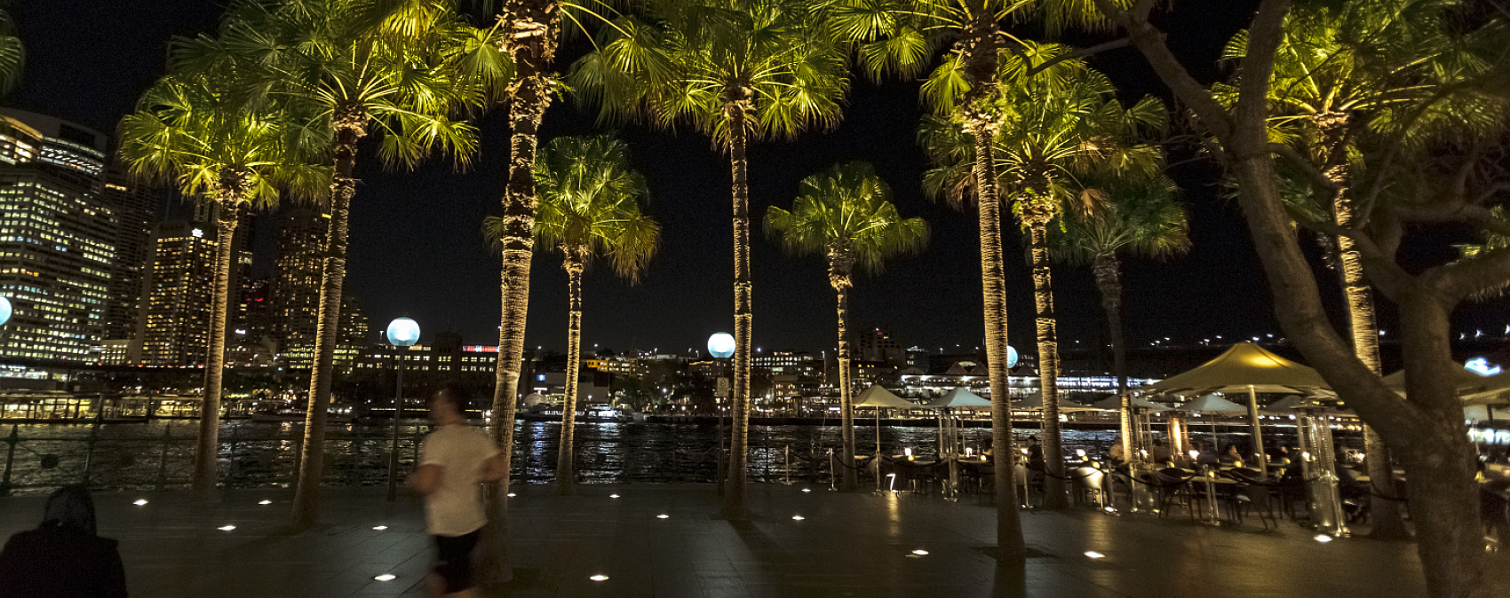 Palm trees at Circular Quay, Sydney, illuminated at night by ERCO Tesis in-ground luminaires.