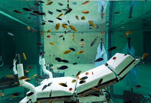 Art installation at Fondazione Prada: A treatment chair inside an aquarium filled with fish.