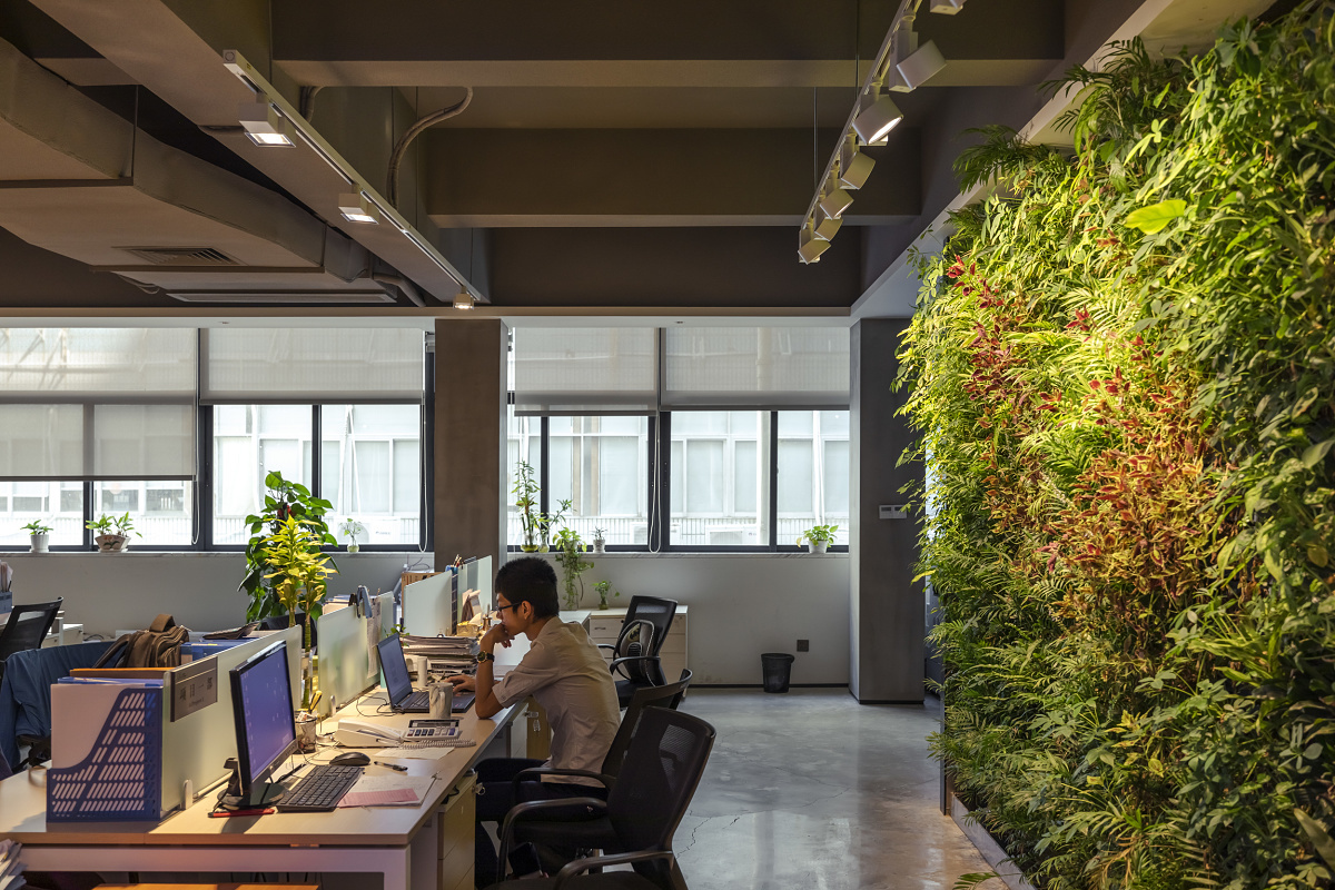 QiGuang office featuring ERCO Optec spotlights for the green wall and Opton spotlights for workspaces.