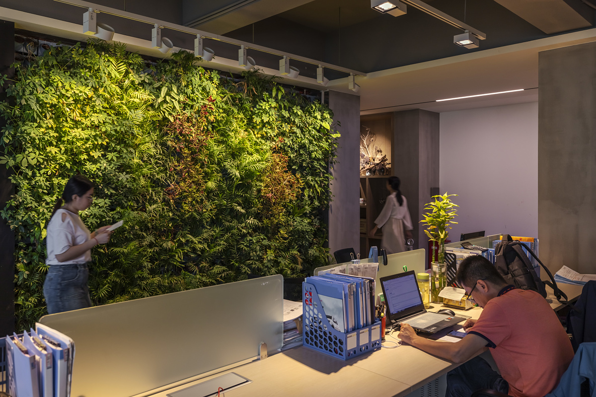 QiGuang office featuring ERCO Optec spotlights illuminating a green wall and Opton spotlights for workspaces.