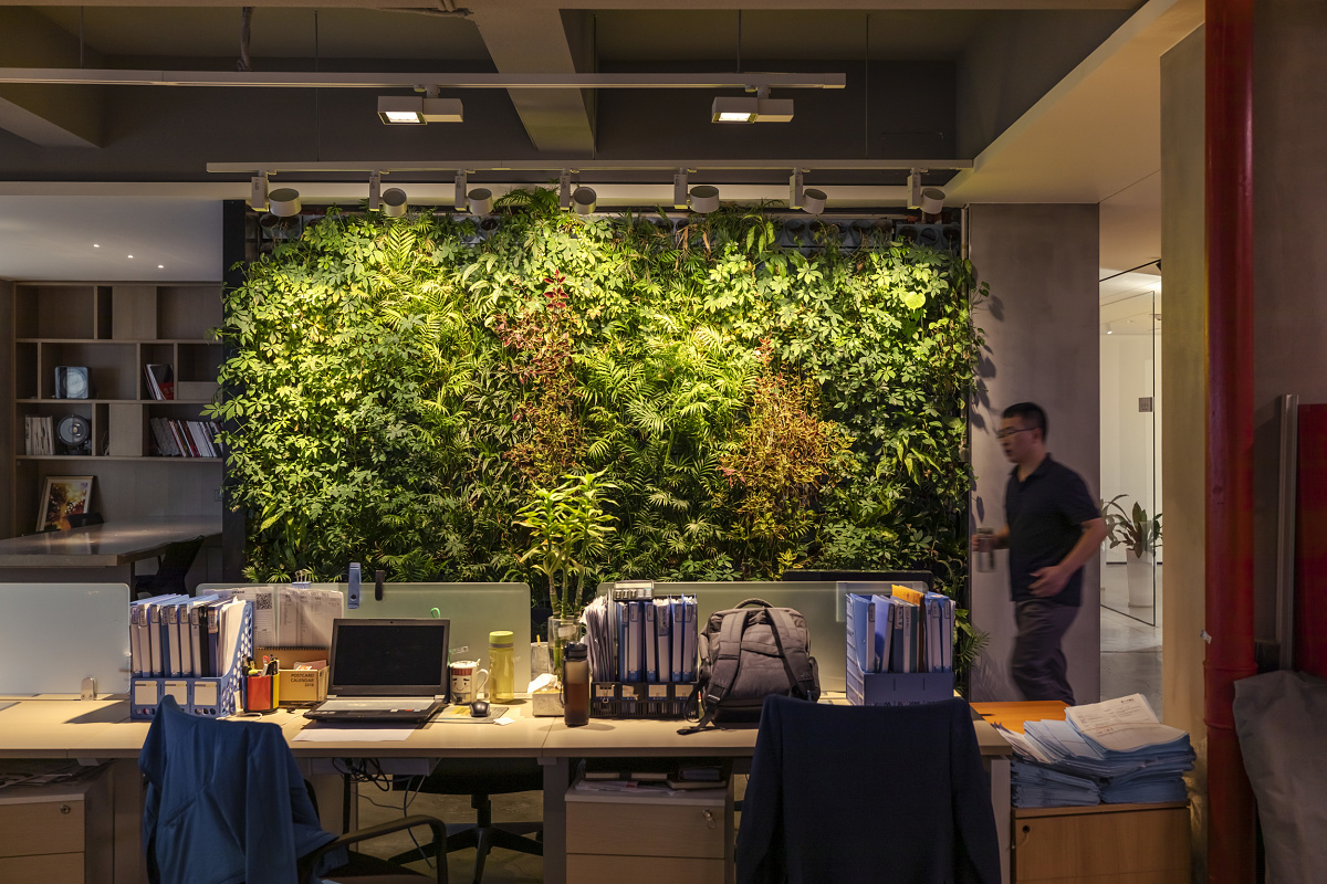 ERCO Optec spotlights illuminate a green wall in the QiGuang Technology office, creating a pleasant workspace.
